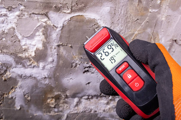 Best Toxic Mold Removal  in Lake City, GA
