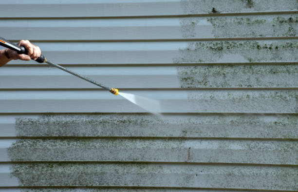 Professional Mold Removal in Lake City, GA