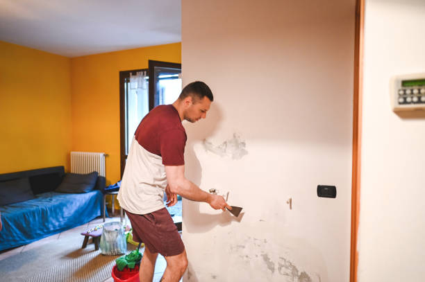 Best Local Mold Removal Service  in Lake City, GA